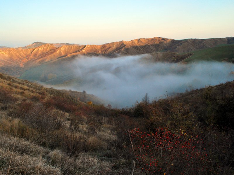 Calanchi plio-pleistocenici tra la Val Lamone e la Val Sintria