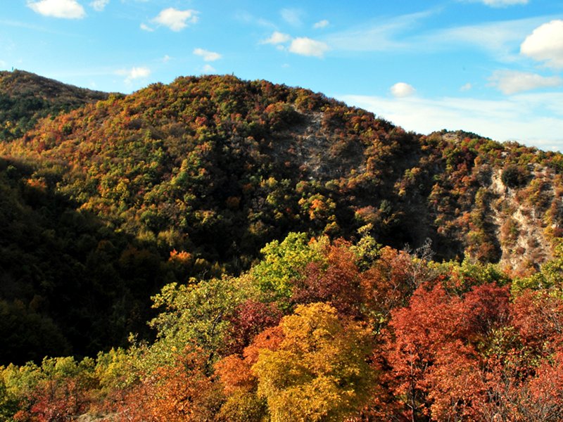 I colori dell'autunno sul Monte Mauro
