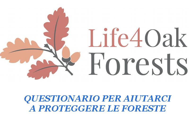 Questionario per aiutarci ad aiutare le foreste