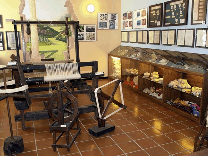 Museo del baco da seta Ciro Ronchi