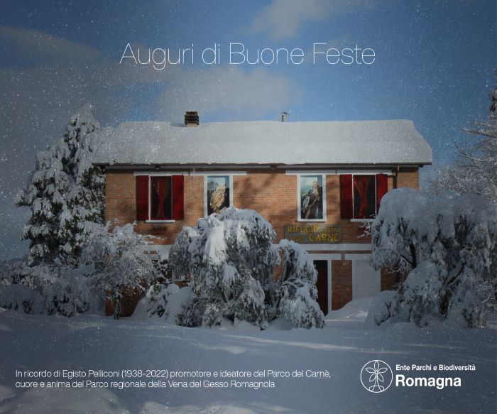 Auguri di un sereno Natale e felice Anno nuovo dalle Aree Protette della Romagna!