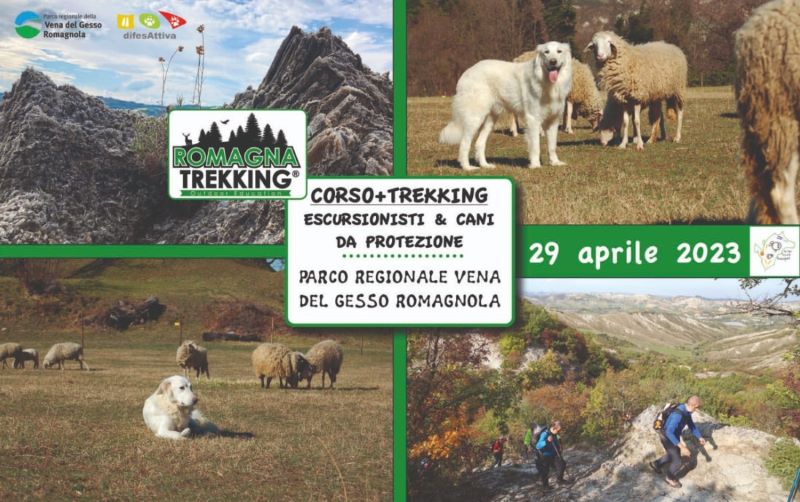 Corso + Trekking: Escursionisti & Cani da Protezione