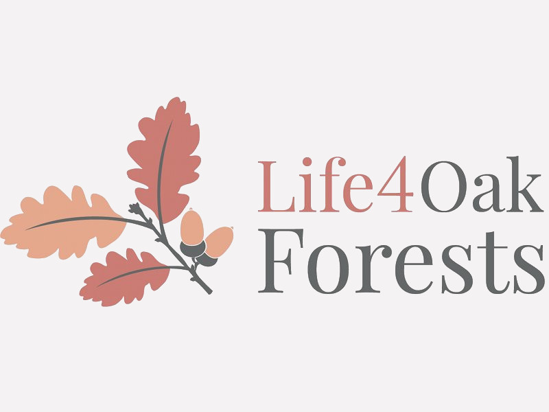 Life4Oak Forest